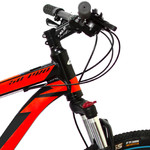 Bicicleta Aspen 2953L R29 21V Dis.alum.19 Shimano Negr-Gris